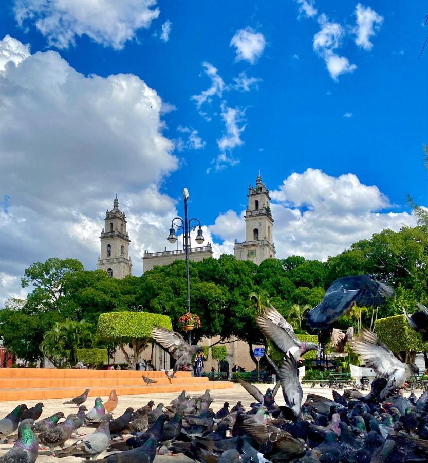 Отель Casa Colonial Gonzalez Мерида Экстерьер фото